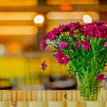 & Restaurant Barca 3*